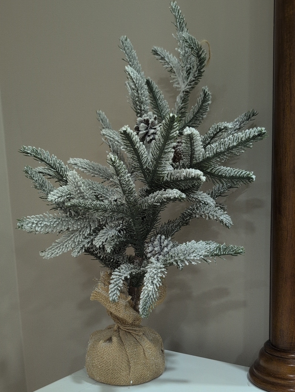 Flocked Pine Tabletop Tree with Burlap Base - White Green